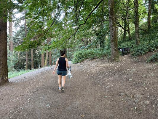 Mt. Tabor Park Off-Leash Dog Area photo 2